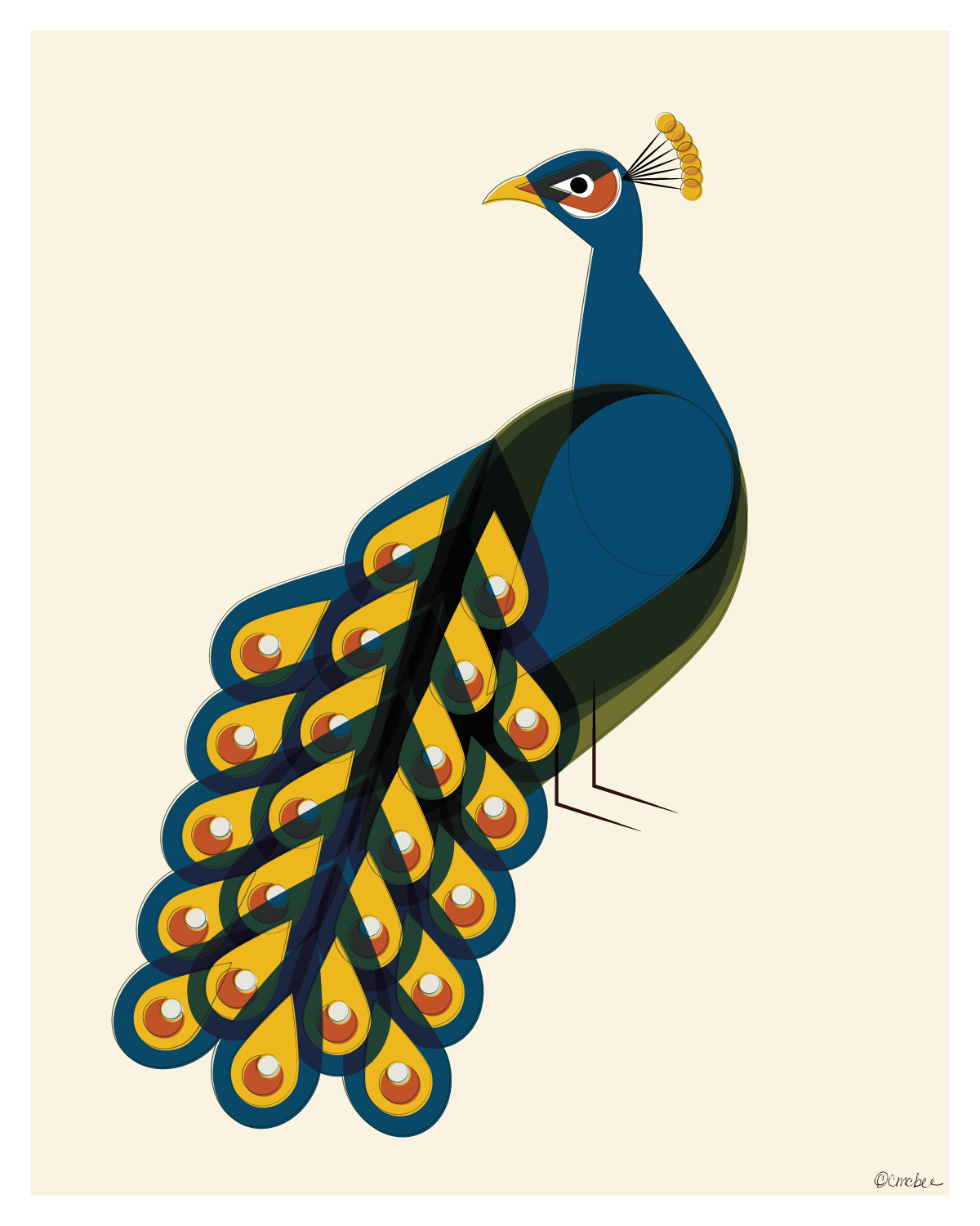 Peacock Print