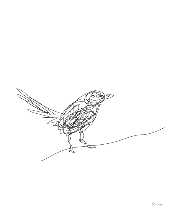 Bird 1 Line Illustration Print