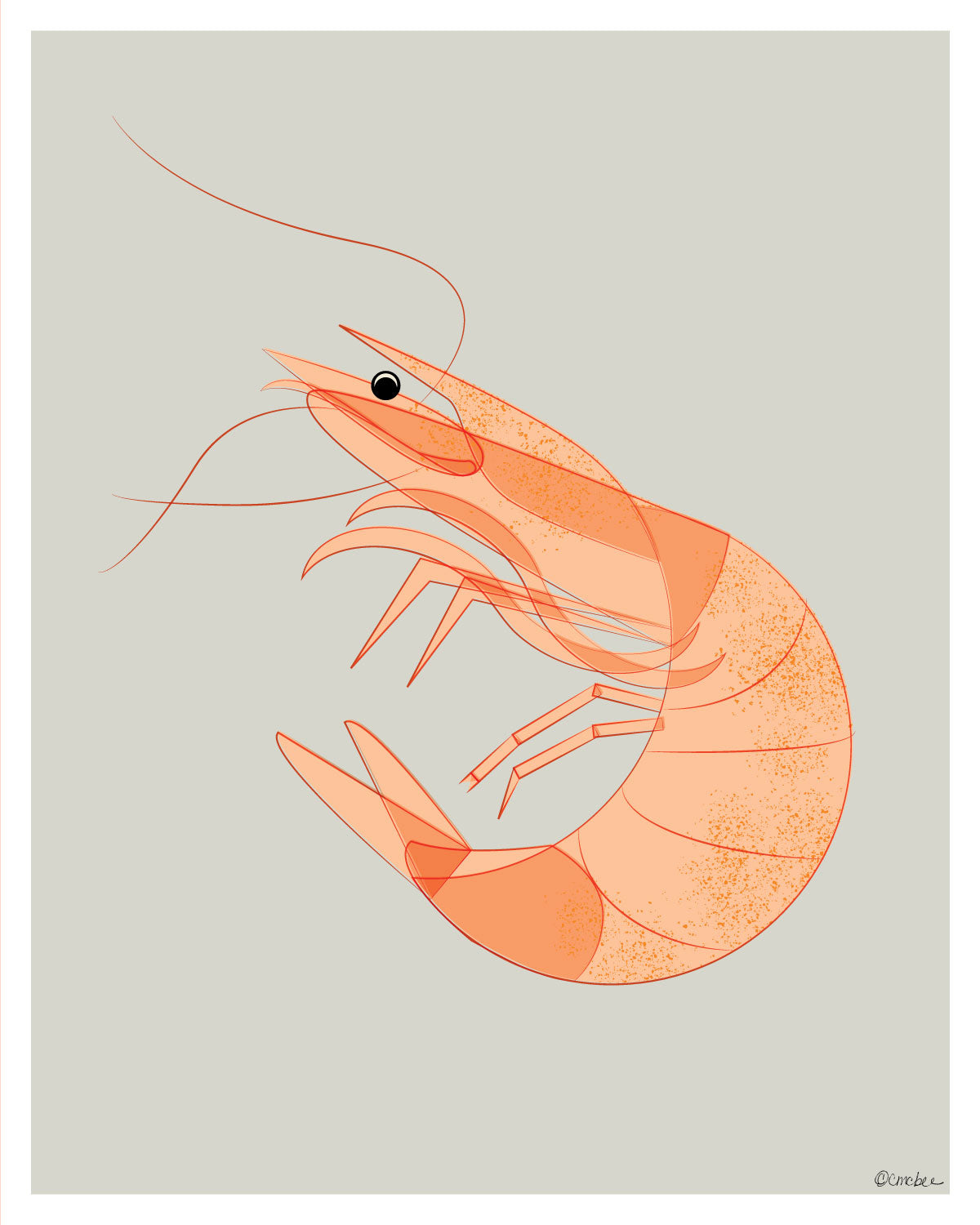 Charleston Shrimp Print
